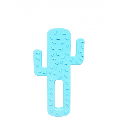 Minikoioi glodalica Cactus Blue101090003