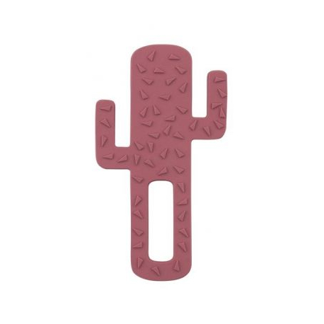 Minikoioi glodalica Cactus Rese 101090005