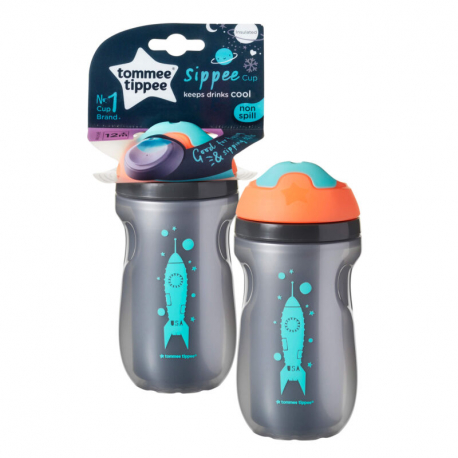 Tommee Tippee termo flaica Boy