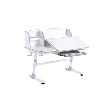 Evolution kids desk grey