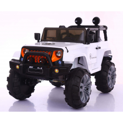 Dzip 12V Wrangler Y-MB119