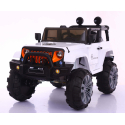 Dzip 12V Wrangler Y-MB119