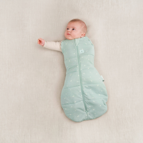 Cocoon  vel3-6m mint 0440