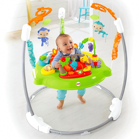 Fisher Price bouncer Vesela Dungla