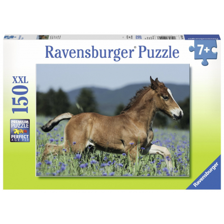 Ravensburger puzzle XXL drebe 150kom