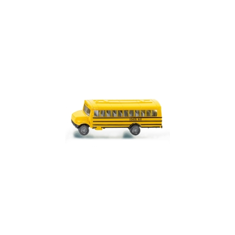 US skolski autobus 1319