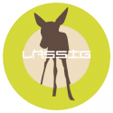 LASSIG Logo